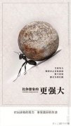 “蚂蚁”有哪些精神值得我们学习