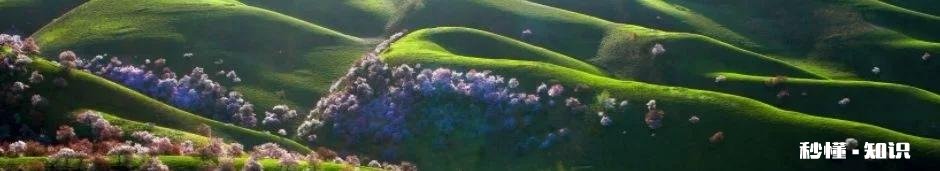 现在工作好难找，压力巨大怎办