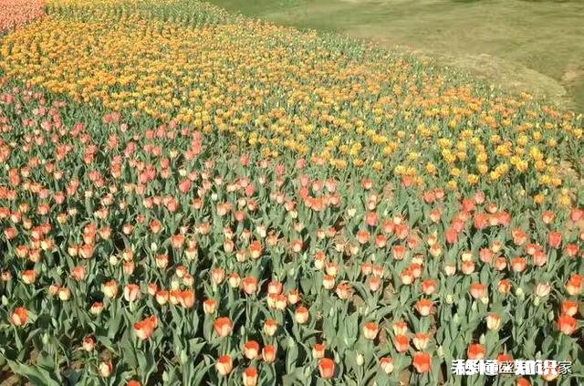 沈阳新评选出的十大景区,您觉得如何