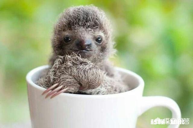 《西游记》中孙悟空打不过玉皇大帝吗