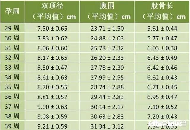孕34周，胎儿双顶径80，股骨长65，腹围286，胎儿是否有问题