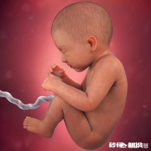 孕34周，胎儿双顶径80，股骨长65，腹围286，胎儿是否有问题