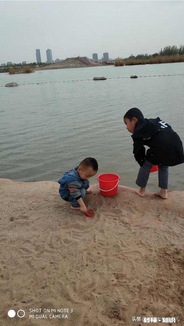 因为二胎弟弟和爸妈产生矛盾怎么办