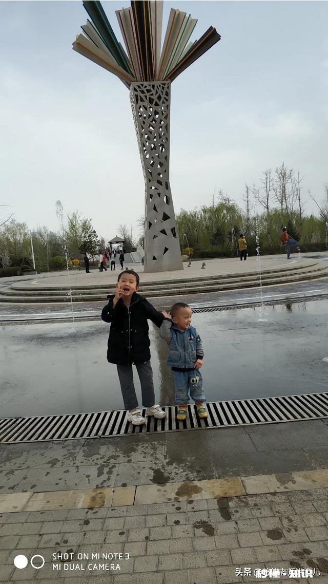 因为二胎弟弟和爸妈产生矛盾怎么办