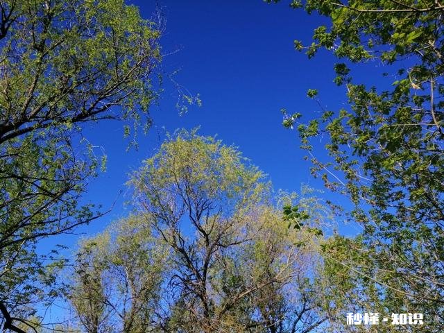 你最喜欢的一句歌词