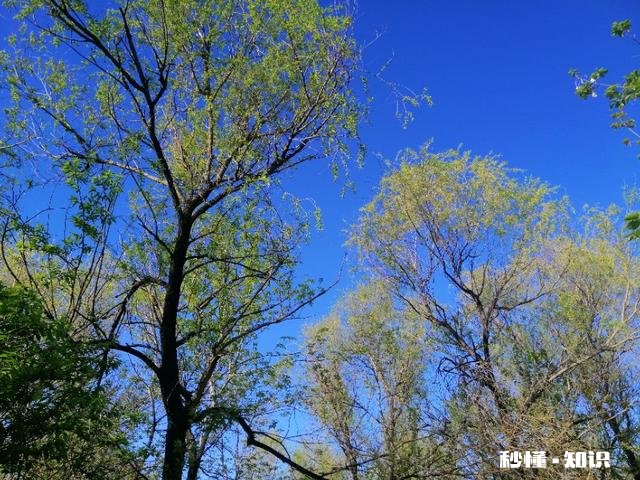 你最喜欢的一句歌词