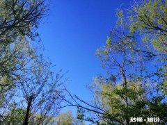 你最喜欢的一句歌词