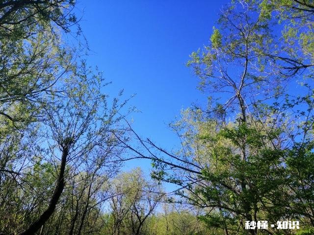 你最喜欢的一句歌词