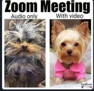 研究生因为科研成果不够延毕了，很痛苦，该如何开导自己