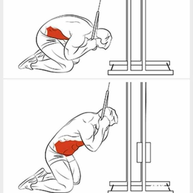 想练腹肌，请问每天做多少个仰卧起坐，多少个俯卧撑才够呢