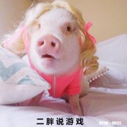 七个王者印记了。怎么还是上不了荣耀王者。最高32星