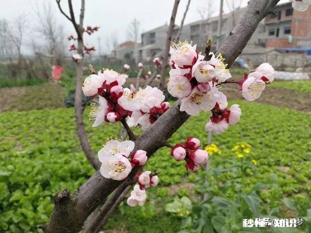被别人夸瘦是一种怎么样的体验