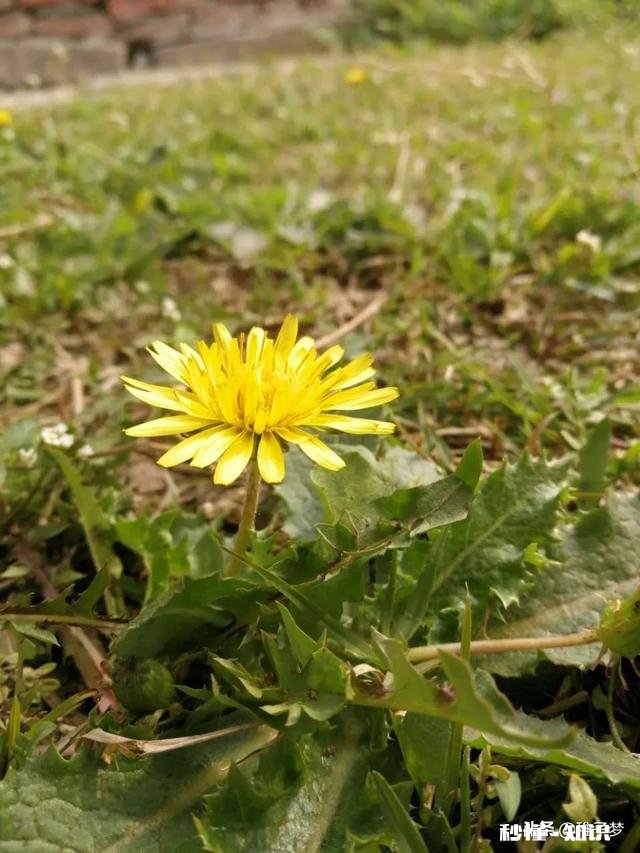 被别人夸瘦是一种怎么样的体验