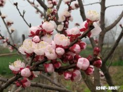 被别人夸瘦是一种怎么样的体验