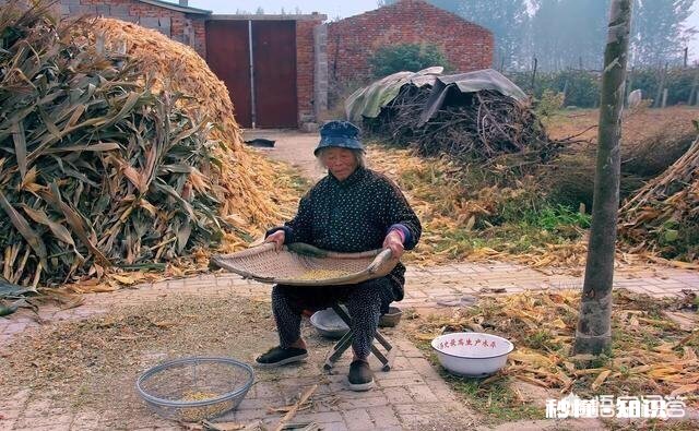 故事：女朋友要求在她的城市全款买一套房，再给彩礼36万，抛弃母亲和她结婚，怎么办