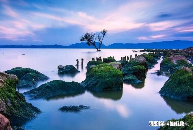 OPPO的科技实力怎么样有什么核心科技吗