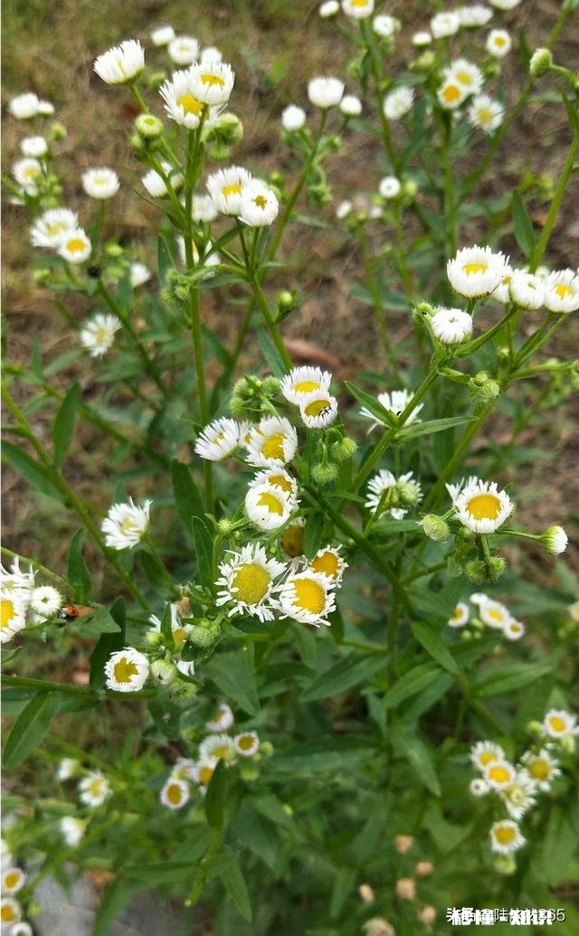 有个超级迷信的婆婆,相处8年关系越来越紧张,要怎么缓解