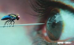 你觉得哪部影视剧可以称之为神剧理由是什么