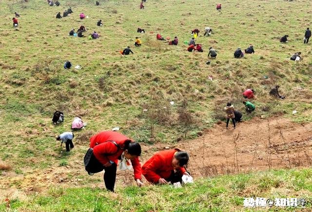 买村里的荒地可以租给其他人使用吗租给他人合法吗