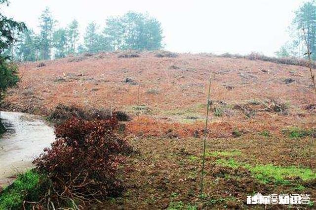 买村里的荒地可以租给其他人使用吗租给他人合法吗