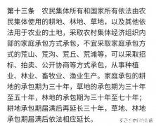 买村里的荒地可以租给其他人使用吗租给他人合法吗
