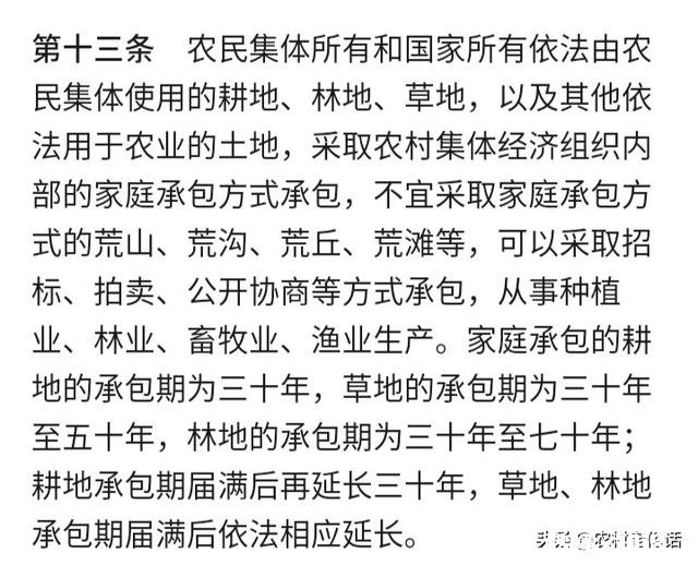 买村里的荒地可以租给其他人使用吗租给他人合法吗