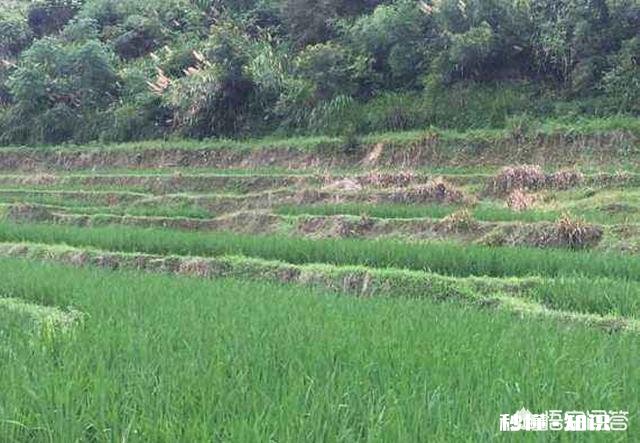 买村里的荒地可以租给其他人使用吗租给他人合法吗