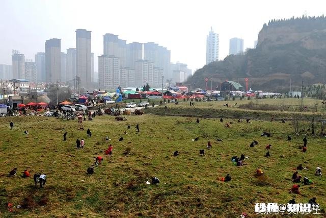 买村里的荒地可以租给其他人使用吗租给他人合法吗