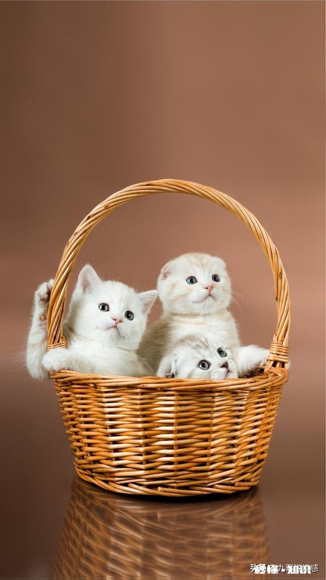 一个女孩对我说遇见我花光了她所有运气，我该怎么回答