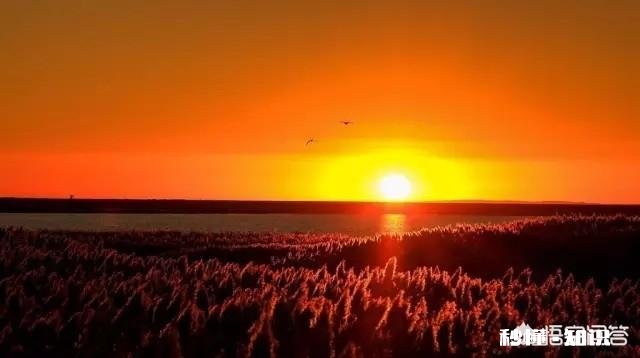 回顾自己的过去，你曾经发过的誓言现在都实现了吗