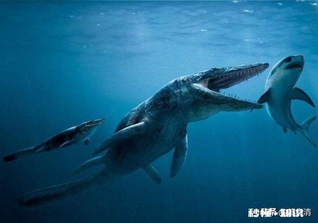 恐龙世界中在水里生活的恐龙叫什么名字