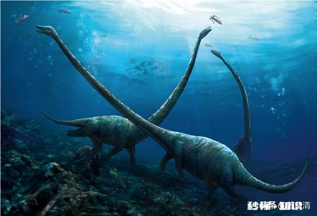 恐龙世界中在水里生活的恐龙叫什么名字