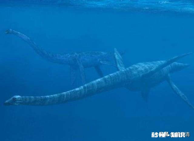 恐龙世界中在水里生活的恐龙叫什么名字