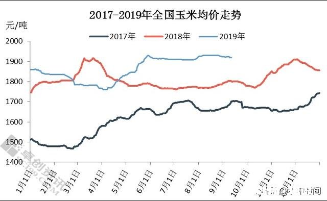 2020年种春玉米价格如何