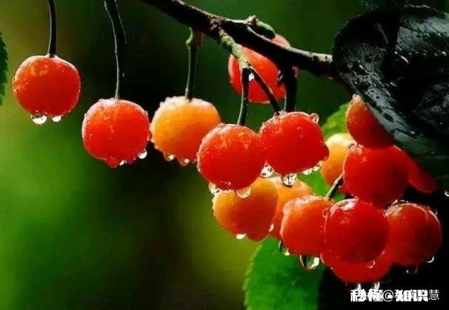 什么是幸福，有车有房好工作就是幸福吗