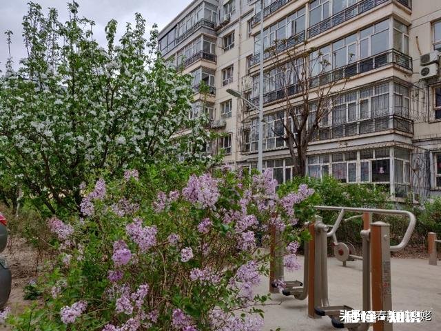 什么是幸福，有车有房好工作就是幸福吗