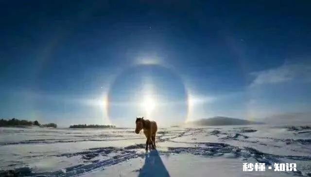 头条的各位友友，做旅游领域的自媒体该怎么做呢