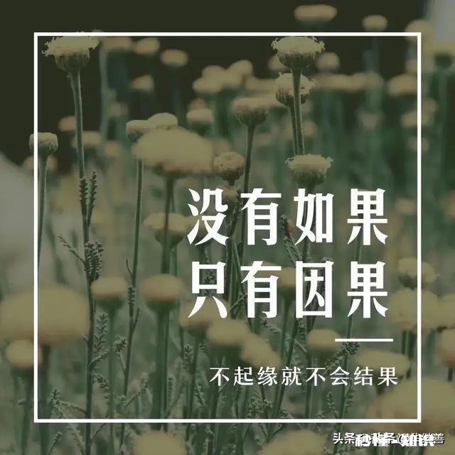 出门在外，你是否有过思家心切在家久了，又是否恋过滚滚红尘