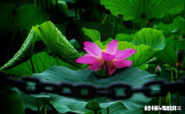 人到了中年，朋友已经是可有可无的了，你认同吗