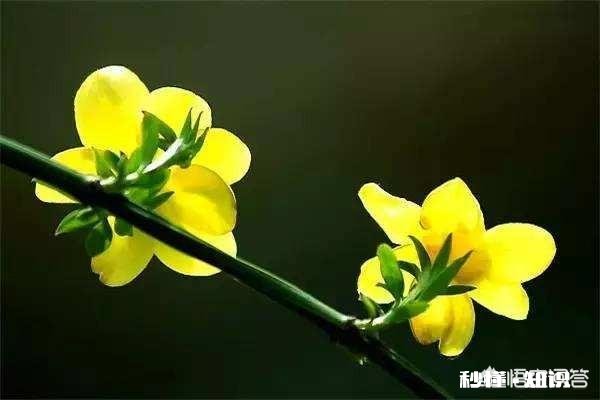 为什么你放不下那个根本不爱你的人