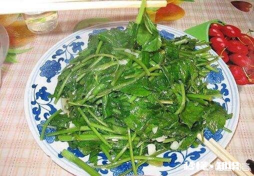 鸭儿芹怎么做成健康美食