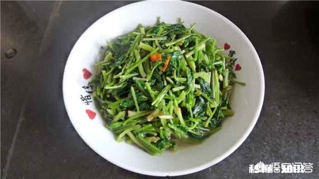 鸭儿芹怎么做成健康美食