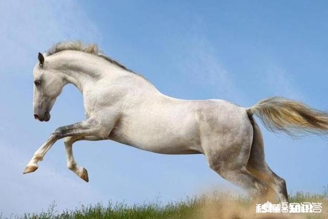 曾经那个你梦想成为的人，现在的你还想努力成为吗