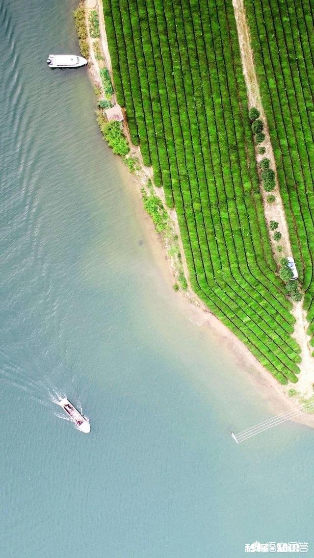 为什么小夫妻的家事一旦有父母介入往往会适得其反如何解决