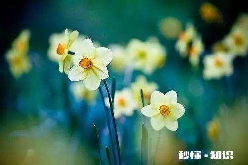 有人说饭桌上的教养决定孩子将来的生活，这句话对吗