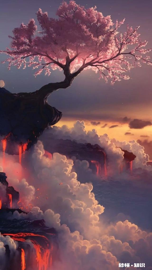 请问大家都用哪些漂亮的手机壁纸唯美的，性感的，古风的，科幻的，还是3D的呢