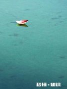 请问大家都用哪些漂亮的手机壁纸唯美的，性感的，古风的，科幻的，还是3D的呢