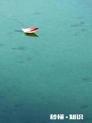 请问大家都用哪些漂亮的手机壁纸唯美的，性感的，古风的，科幻的，还是3D的呢