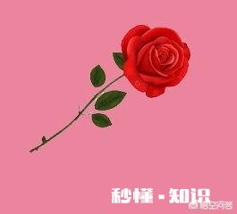 有没有因为一件事，一辈子也无法原谅一个人