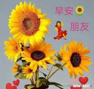 有多少男人在婚姻里活成了无赖